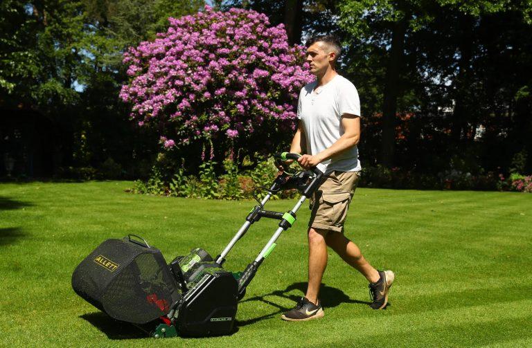 Importance of lawn care in May