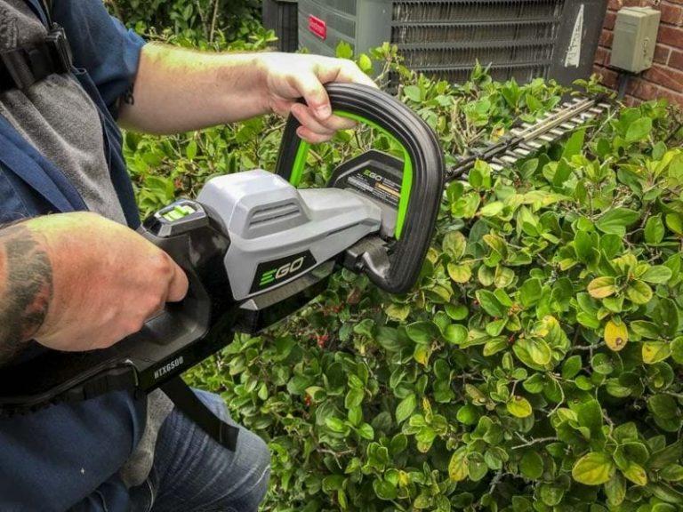Used to Have the Best-Looking Yard in the Neighborhood: A Tale of EGO and the Ultimate Hedge Trimmer