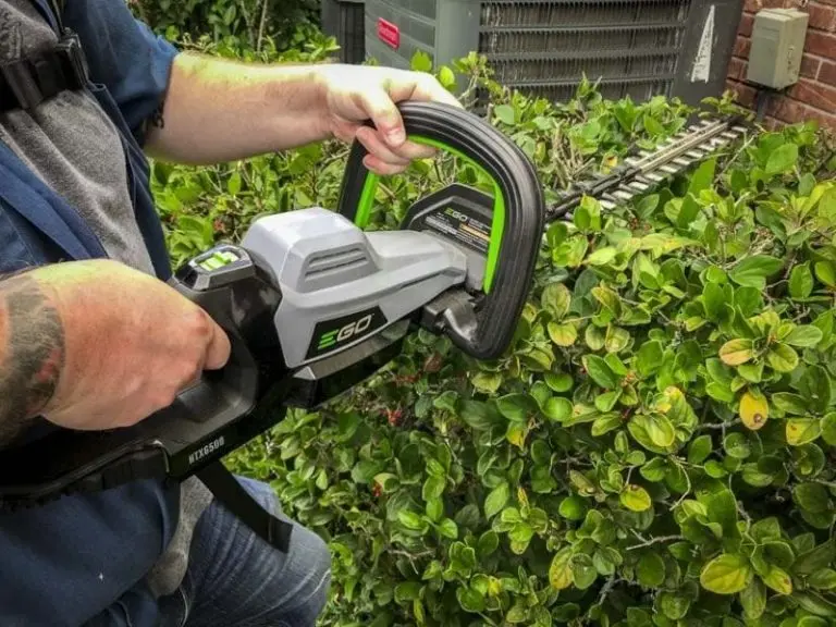 Used to Have the Best-Looking Yard in the Neighborhood: A Tale of EGO and the Ultimate Hedge Trimmer