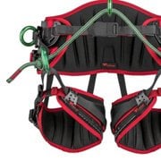 Harnesses