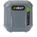 EGO CHX5500E