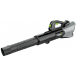 EGO LBX6000