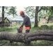 HUSQVARNA 135 Mark II Chainsaw
