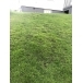 HUSQVARNA 1m² Hybrid Protection Track Grass