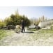 HUSQVARNA 440 Chainsaw