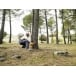 HUSQVARNA 455 Rancher Chainsaw