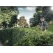 HUSQVARNA 520iHD70 Hedge Trimmer