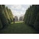 HUSQVARNA 520iHT4 Hedge Trimmer
