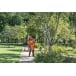 HUSQVARNA 525P4S Pole Chainsaw