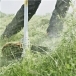 HUSQVARNA 545RXT Brushcutter