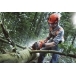 HUSQVARNA 555 Chainsaw