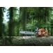 HUSQVARNA 562 XP® Chainsaw