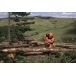 HUSQVARNA 565 Chainsaw
