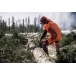 HUSQVARNA 565 Chainsaw