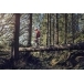HUSQVARNA 572 XP® Chainsaw