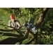 HUSQVARNA Aspire PE5-P4A Battery Chainsaw
