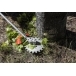 HUSQVARNA RA850 Weed Scissor Attachment