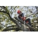 HUSQVARNA T535i XP® Battery Chainsaw