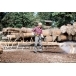 KARCHER HD 8/20 G