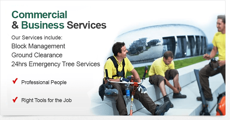 Business & Specialist Services