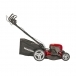 MOUNTFIELD Empress 46 Li