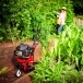 MOUNTFIELD Manor Compact 36 V Tiller Cultivator