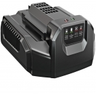 EGO CH2100E