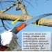 SILKY FOX Ultra Accel Folding Saw