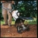 STIHL BF-MM