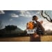 STIHL BR 200