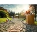 STIHL BR 500