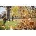 STIHL BR 800 C-E
