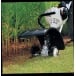 STIHL FC-MM