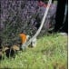 STIHL FCB-KM