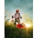 STIHL FS 55
