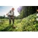 STIHL FS 94 C-E