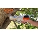 STIHL GTA 26 Chainsaw