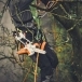 STIHL GTA 40 Chainsaw