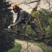 STIHL GTA 40 Chainsaw