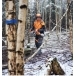 STIHL HTA 160