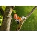 STIHL HTA 66