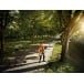 STIHL HTA 86