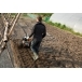 STIHL MH 585