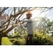 STIHL MS 151 C-E