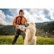 STIHL MS 151 C-E
