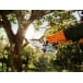 STIHL MS 151 TC-E