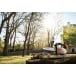 STIHL MS 151 TC-E