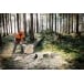 STIHL MS 261 C-M