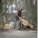 STIHL MS 291