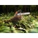 STIHL MS 362 C-M
